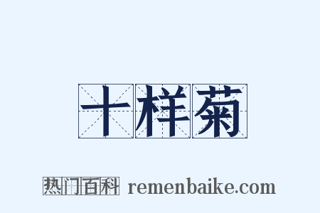 十样菊是什么意思的图片